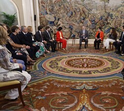 Su Majestad el Rey durante el desarrollo de la audiencia